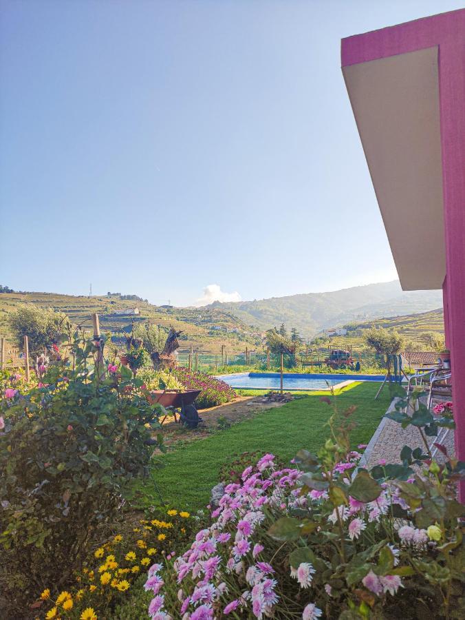 Quinta Dos Padrinhos - Suites In The Heart Of The Douro Lamego Esterno foto