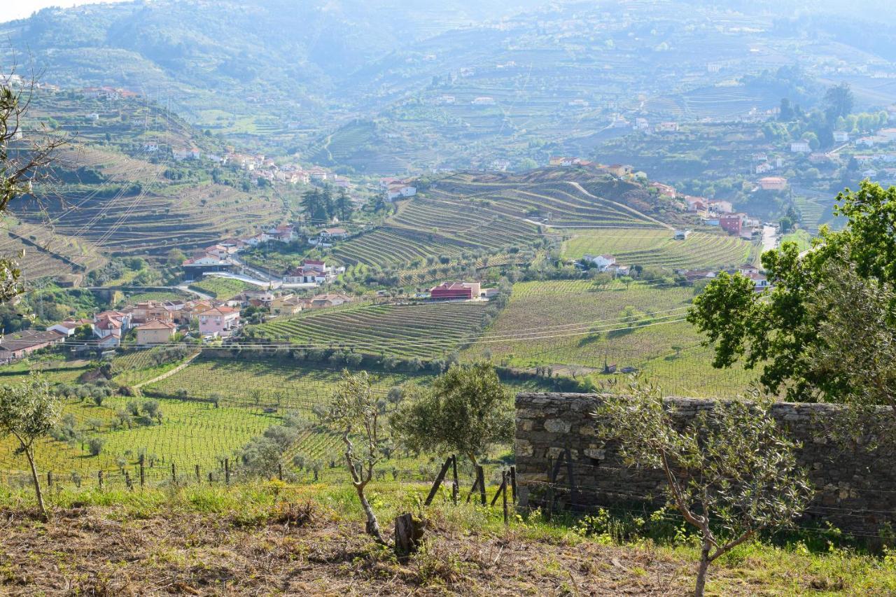 Quinta Dos Padrinhos - Suites In The Heart Of The Douro Lamego Esterno foto
