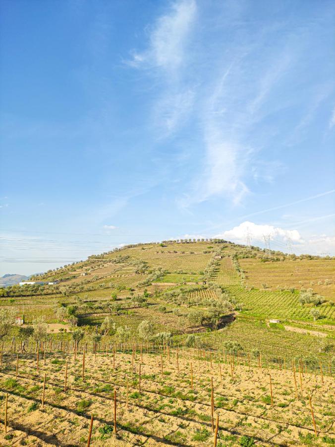Quinta Dos Padrinhos - Suites In The Heart Of The Douro Lamego Esterno foto