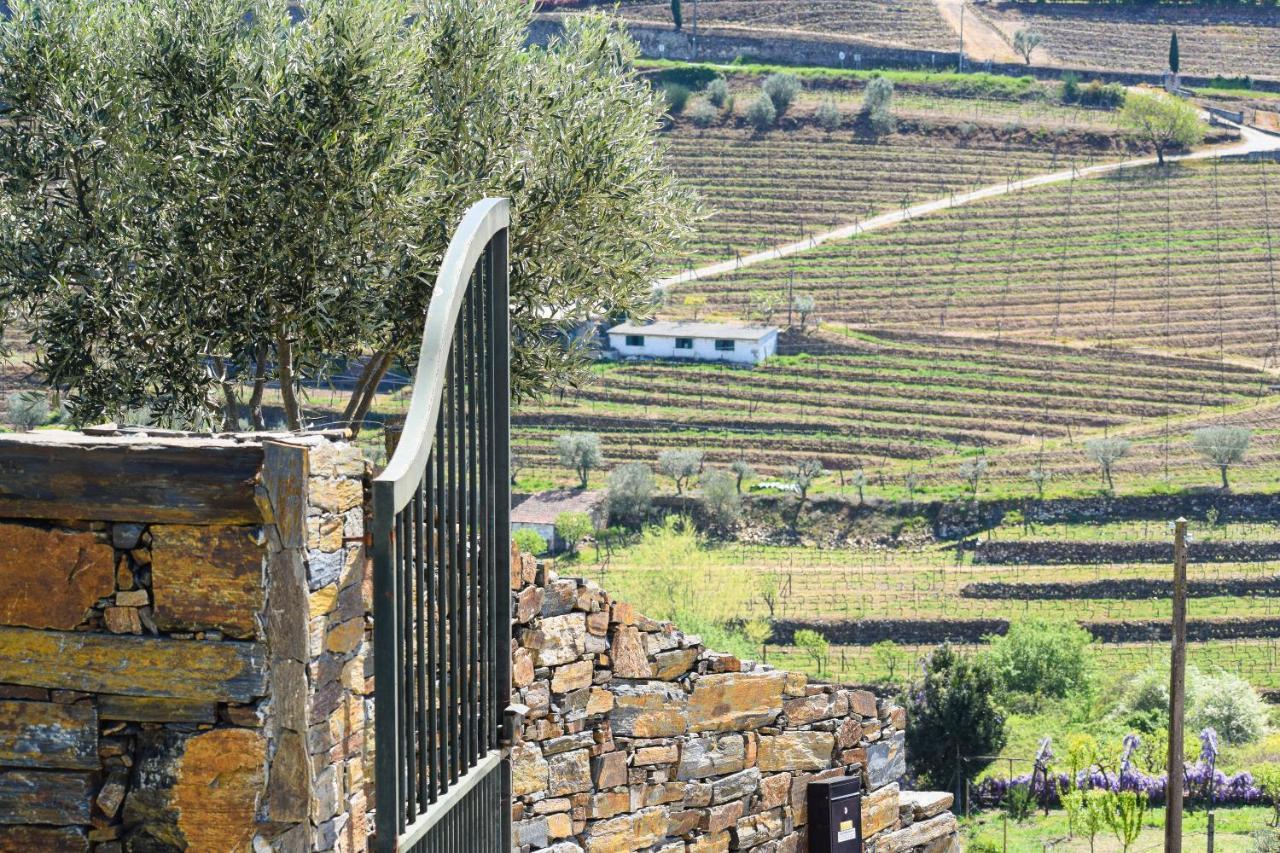 Quinta Dos Padrinhos - Suites In The Heart Of The Douro Lamego Esterno foto