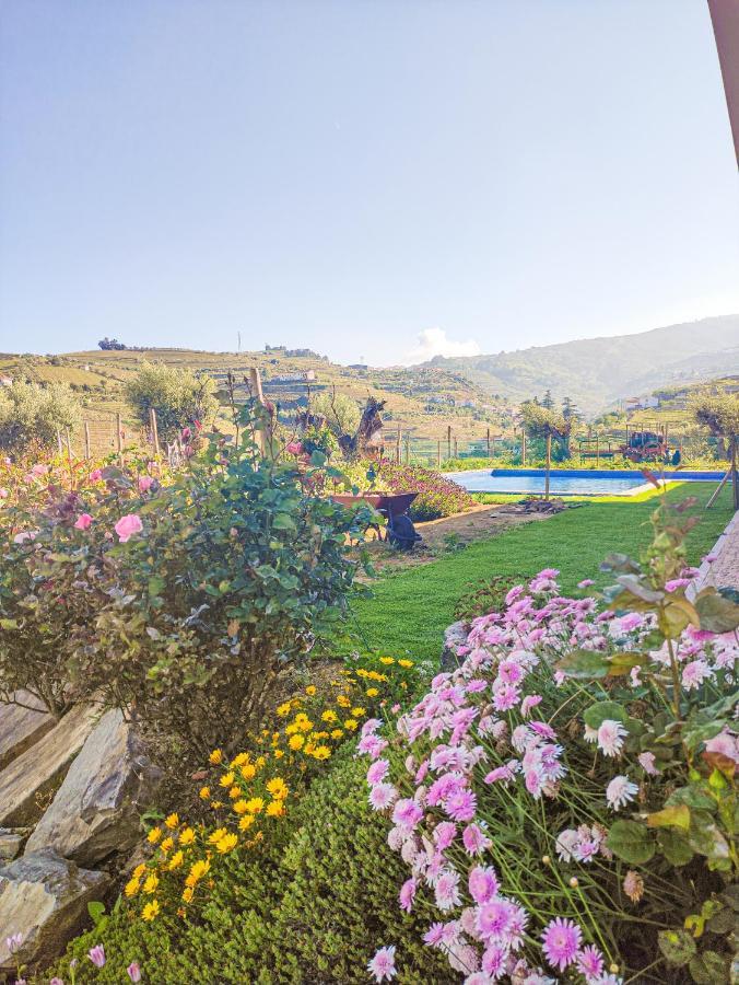 Quinta Dos Padrinhos - Suites In The Heart Of The Douro Lamego Esterno foto