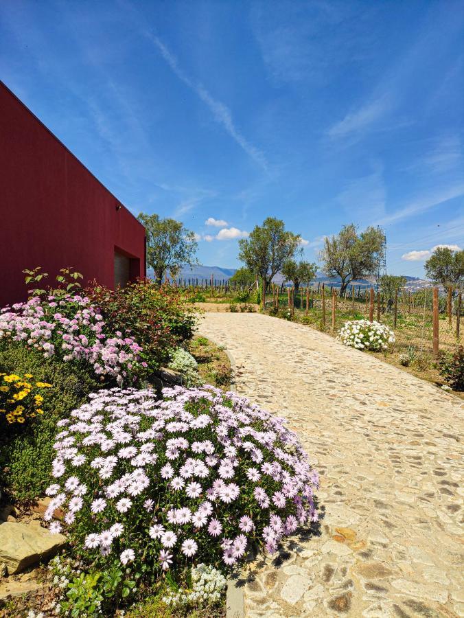 Quinta Dos Padrinhos - Suites In The Heart Of The Douro Lamego Esterno foto