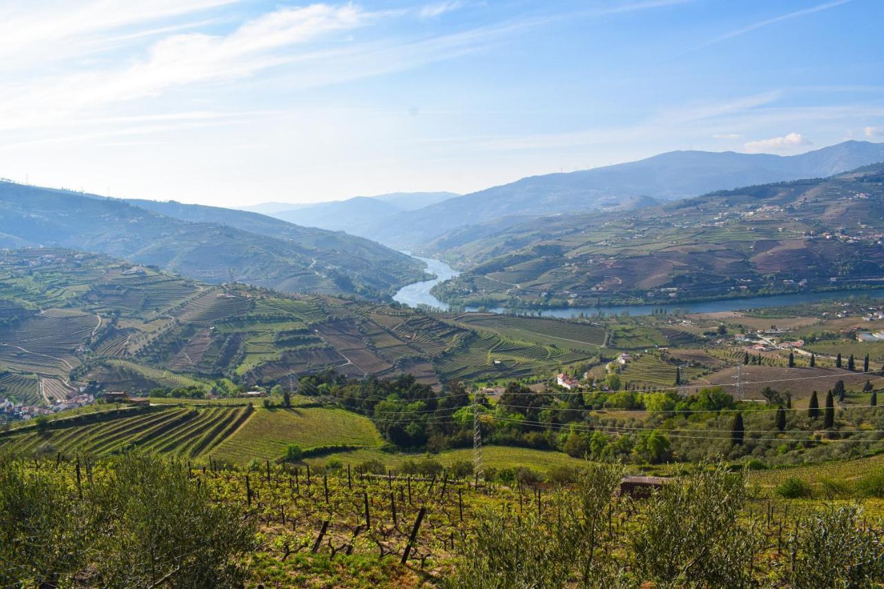 Quinta Dos Padrinhos - Suites In The Heart Of The Douro Lamego Esterno foto