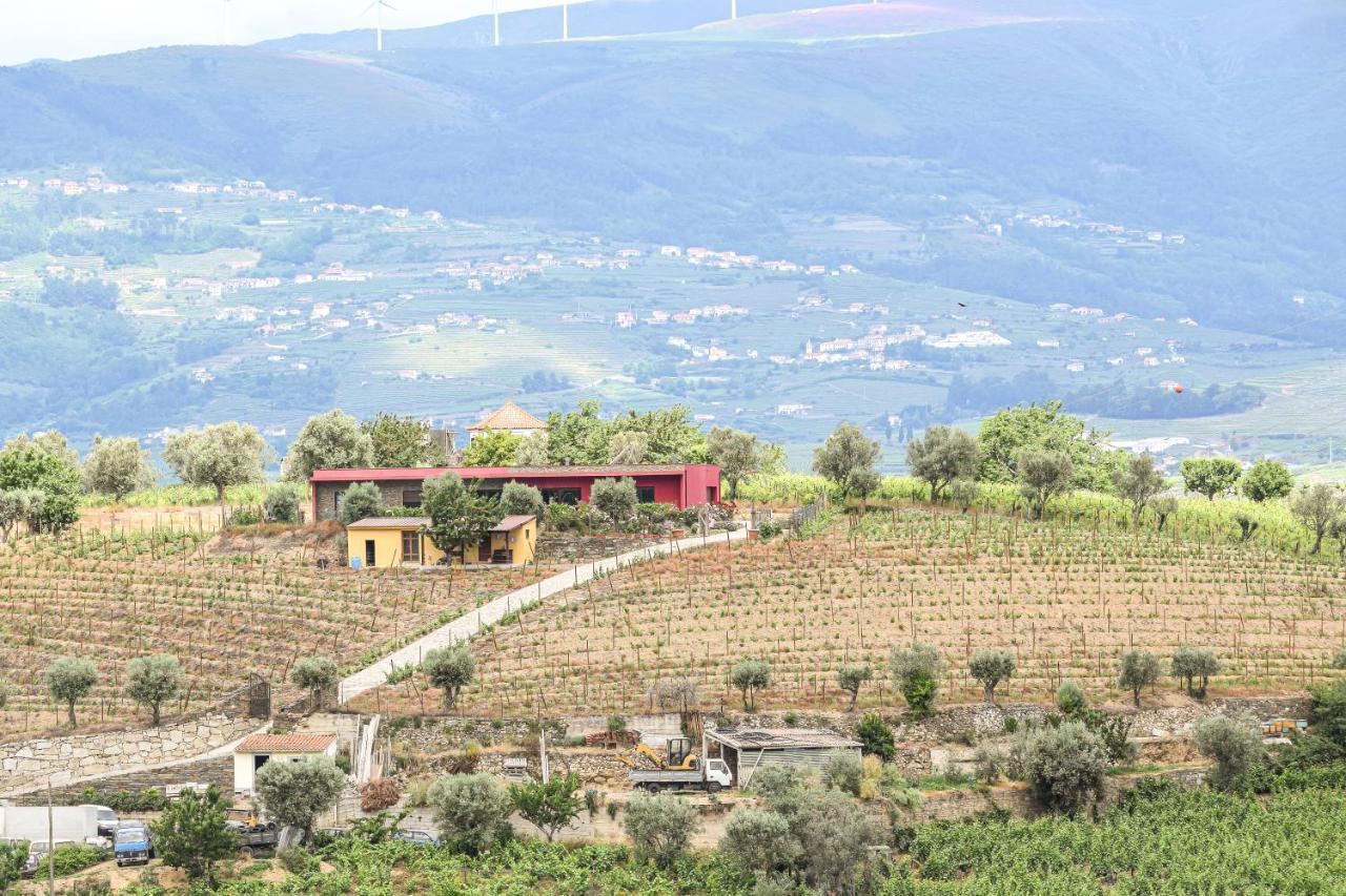 Quinta Dos Padrinhos - Suites In The Heart Of The Douro Lamego Esterno foto