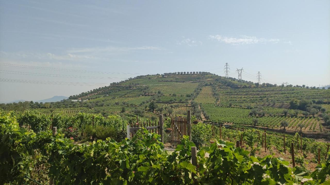 Quinta Dos Padrinhos - Suites In The Heart Of The Douro Lamego Esterno foto