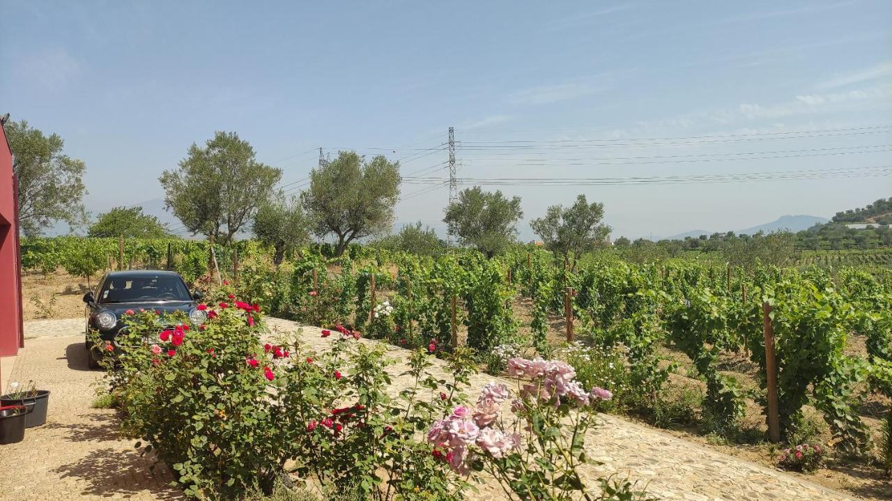 Quinta Dos Padrinhos - Suites In The Heart Of The Douro Lamego Esterno foto