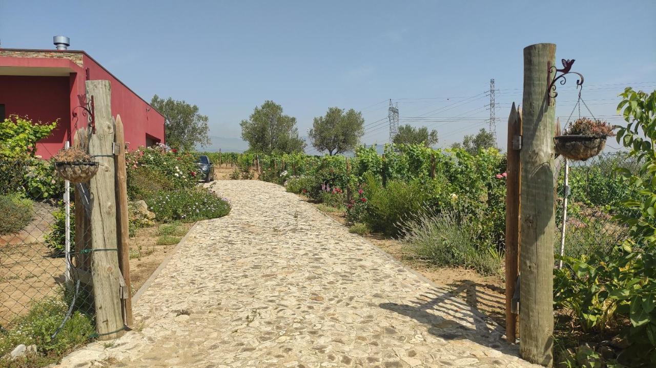 Quinta Dos Padrinhos - Suites In The Heart Of The Douro Lamego Esterno foto