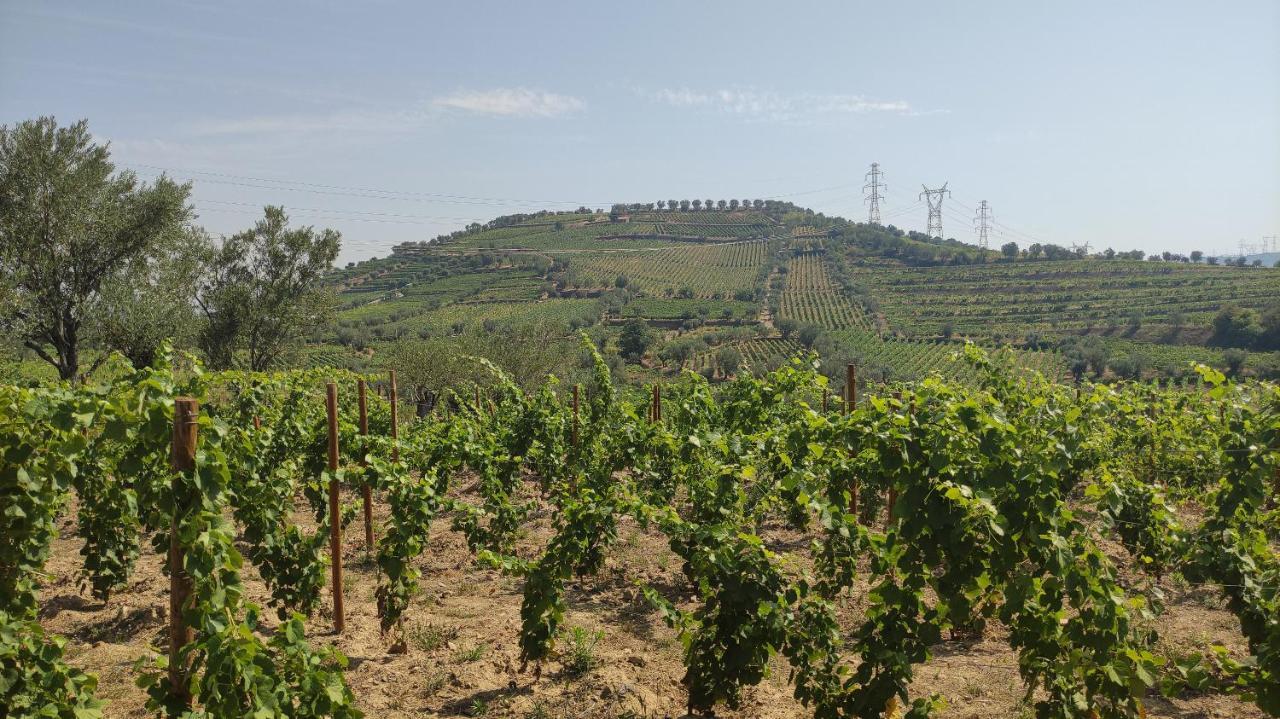 Quinta Dos Padrinhos - Suites In The Heart Of The Douro Lamego Esterno foto
