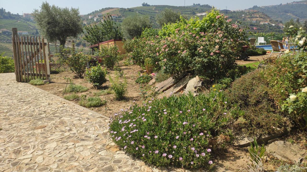 Quinta Dos Padrinhos - Suites In The Heart Of The Douro Lamego Esterno foto