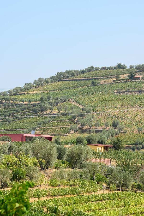Quinta Dos Padrinhos - Suites In The Heart Of The Douro Lamego Esterno foto